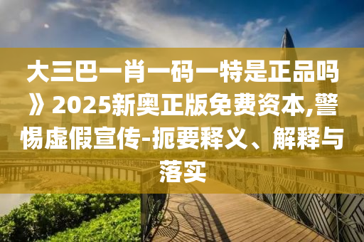 大三巴一肖一碼一特是正品嗎》2025新奧正版免費(fèi)資本,警惕虛假宣傳-扼要釋義、解釋與落實(shí)