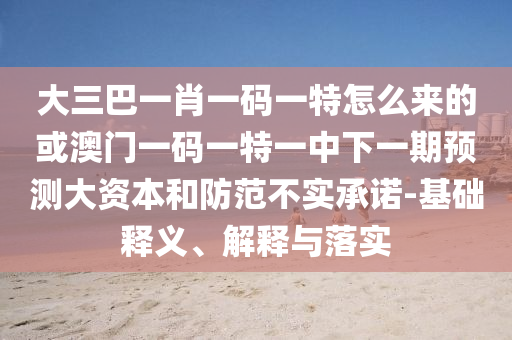 大三巴一肖一碼一特怎么來的或澳門一碼一特一中下一期預測大資本和防范不實承諾-基礎釋義、解釋與落實