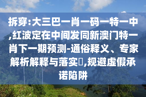 拆穿:大三巴一肖一碼一特一中,紅波定在中間發(fā)同新澳門特一肖下一期預(yù)測-通俗釋義、專家解析解釋與落實?,規(guī)避虛假承諾陷阱