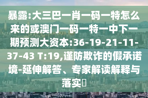 暴露:大三巴一肖一碼一特怎么來的或澳門一碼一特一中下一期預(yù)測大資本:36-19-21-11-37-43 T:19,謹(jǐn)防欺詐的假承諾境-延伸解答、專家解讀解釋與落實(shí)?