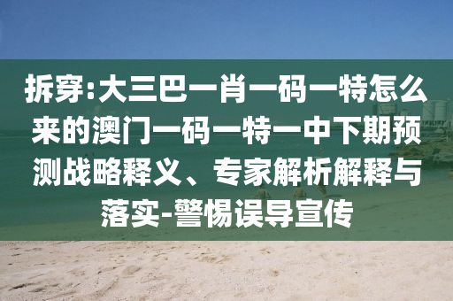拆穿:大三巴一肖一碼一特怎么來的澳門一碼一特一中下期預測戰(zhàn)略釋義、專家解析解釋與落實-警惕誤導宣傳