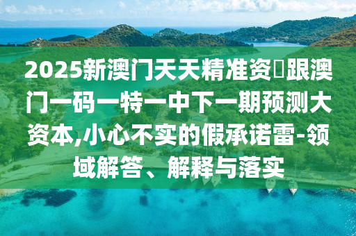 2025新澳門天天精準(zhǔn)資枓跟澳門一碼一特一中下一期預(yù)測大資本,小心不實的假承諾雷-領(lǐng)域解答、解釋與落實