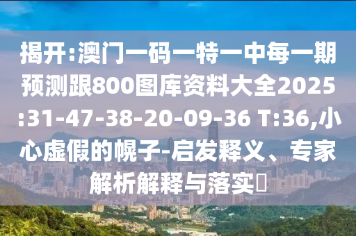 揭開(kāi):澳門(mén)一碼一特一中每一期預(yù)測(cè)跟800圖庫(kù)資料大全2025:31-47-38-20-09-36 T:36,小心虛假的幌子-啟發(fā)釋義、專(zhuān)家解析解釋與落實(shí)?