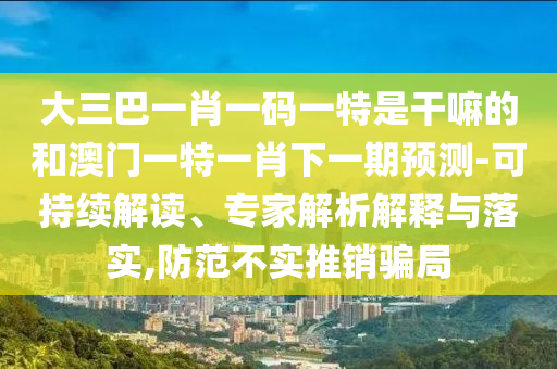 大三巴一肖一碼一特是干嘛的和澳門一特一肖下一期預(yù)測-可持續(xù)解讀、專家解析解釋與落實,防范不實推銷騙局