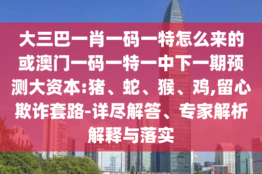 大三巴一肖一碼一特怎么來的或澳門一碼一特一中下一期預(yù)測大資本:豬、蛇、猴、雞,留心欺詐套路-詳盡解答、專家解析解釋與落實